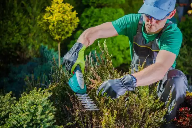 landscaping services Woodworth
